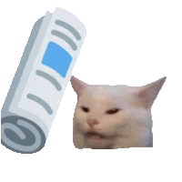 :boncat: