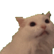 :car: