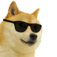 :cooldog: