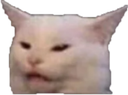 :twts: