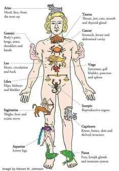 Medical-Astrology-Discover-the-Path-to-Healthy-Lifestyle-min.jpg.d4046b5763e4f83309cedc04112bc713.jpg