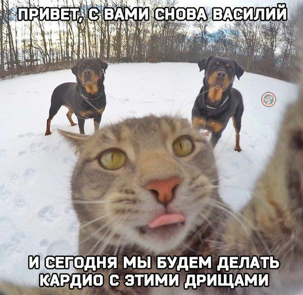 89b72db33cfeccb5b77fc8fe2ca98569.jpg.1f60510c82a7e517c4c746164940cef8.jpg