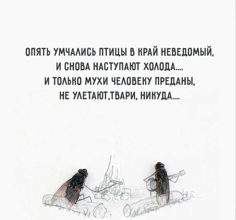 FB_IMG_1694368163127.jpg