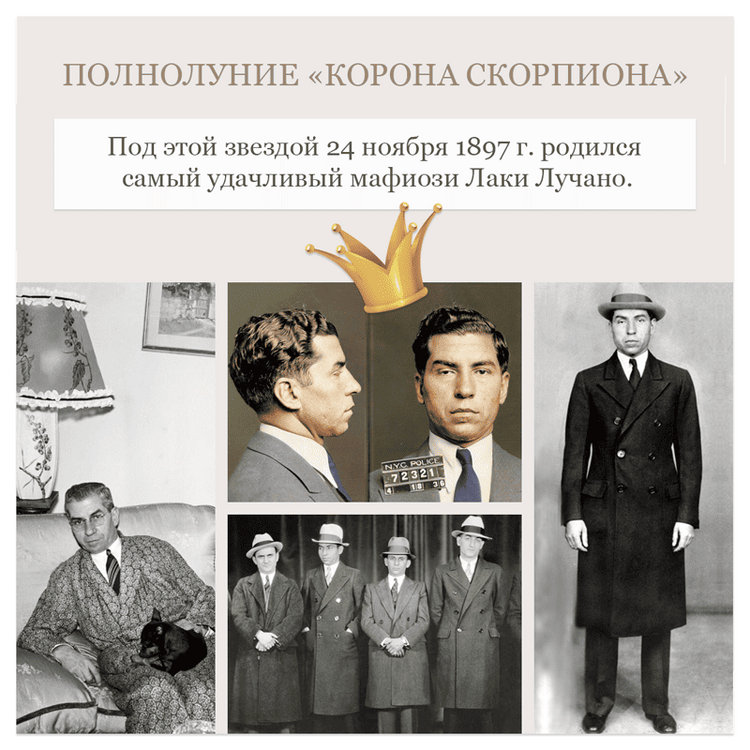 Без имени-1212-1.png