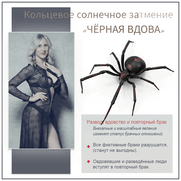 --13-min(1).thumb.gif.735e91ad22636c1b437c115b260f3598.gif