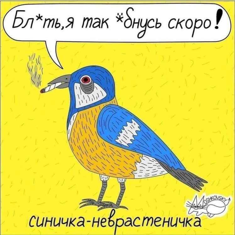 MM3hV2wlNn8.jpg