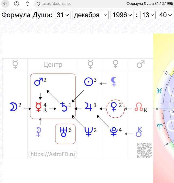 фд 1.jpg