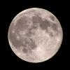 Moon Light